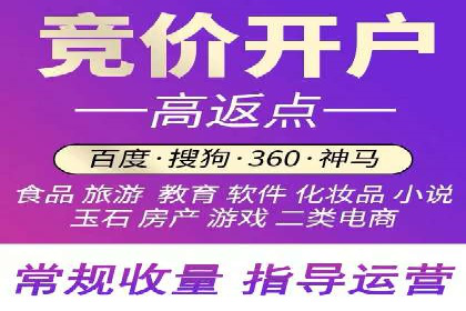 某某SEM服务公司如何帮助企业实现ROI最大化